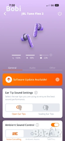 JBL Tune Flex 2 TWS ANC, снимка 9 - Bluetooth слушалки - 54038007