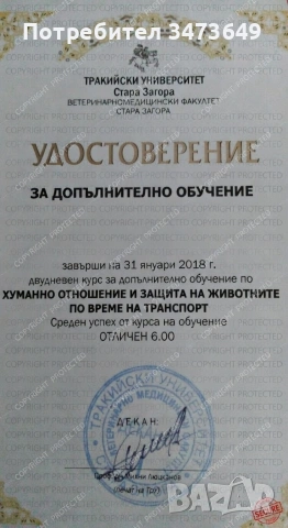 Лицензиран превоз на животни, снимка 2 - Ветеринари и услуги - 53749583