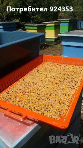 Пчелен прашец