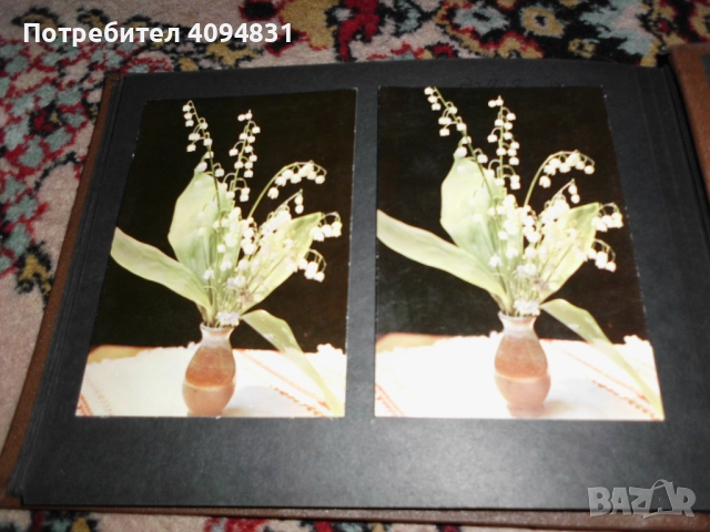 Стари албуми 2бр. с Пощенски картички / Цветя, снимка 7 - Колекции - 52099682