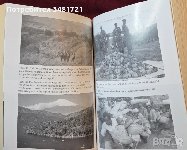 Колапс - как цивилизациите избират да загинат или успеят / Collapse, снимка 10 - Художествена литература - 54243911