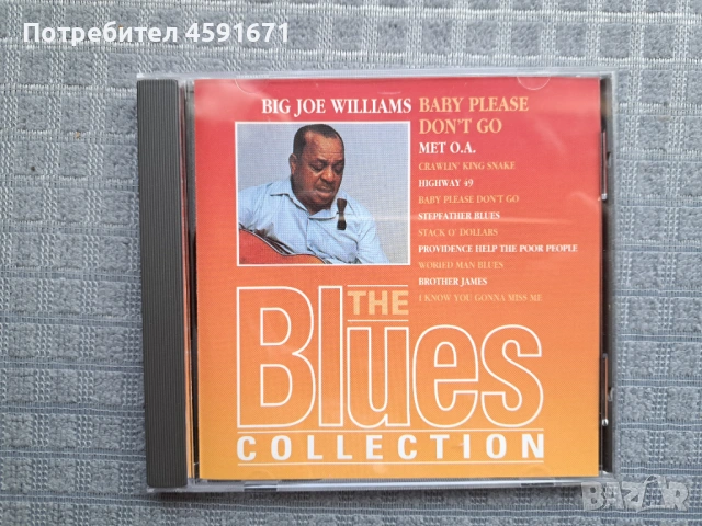 Big Joe Williams – Baby Please Don't Go