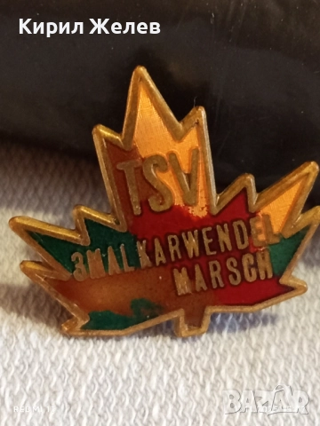 Рядка стара значка 3 MALKARWENDEL MARSCH Австрия уникат с емайл за КОЛЕКЦИЯ 52272, снимка 2 - Колекции - 52443382