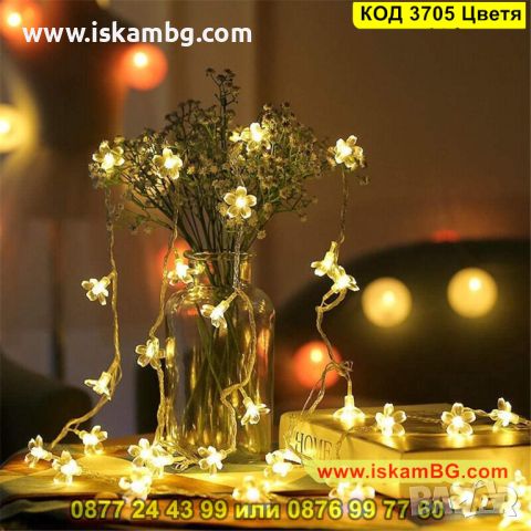Соларни лампички за градина, цветя с 8 режима на светене в различни светлини - КОД 3705 Цветя, снимка 12 - Соларни лампи - 45341220