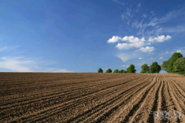 Земеделски ниви идеални части