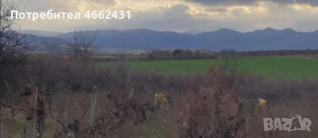  Парцел 2320 м2 - отличен за лозе/градина/пчелин, до път Дебър–Брягово, снимка 8 - Парцели - 52562178