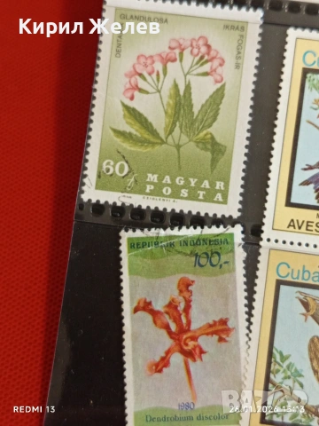 Стари пощенски марки от цял свят смесени ПТИЦИ, ЦВЕТЯ за КОЛЕКЦИЯ ДЕКОРАЦИЯ 52069, снимка 4 - Филателия - 53232019