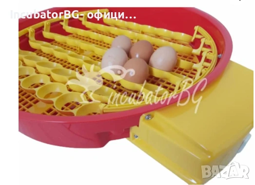 Румънски автоматичен инкубатор за 51 яйца, снимка 3 - За птици - 53914722