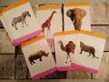  комплект от 48 броя образователни карти с животни