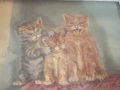 Картина- котета, снимка 2