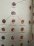 Хематологичен Атлас-The Morphology of Human Blood Cells-Abbot laboratories,1985,p.92, снимка 12