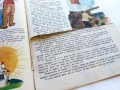 "Дружинка" - 1957г. книжка 2,3,4,6,7,8  и 1956 книжка 1 , снимка 14