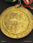Стар рядък медал от соца СПАРТАКИАДА на СТРОЙТЕЛИТЕ за КОЛЕКЦИОНЕРИ 44889, снимка 2