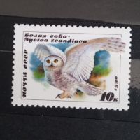 1990 г. Хищни птици- Сови. СССР, снимка 2 - Филателия - 45429475