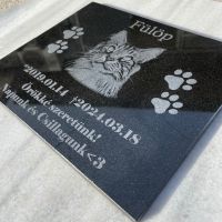 Персонализирана надгробна плоча за домашни любимци със снимка, снимка 9 - За кучета - 44884125