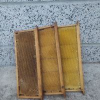 Изградени магазинни рамки, снимка 4 - За пчели - 45474994