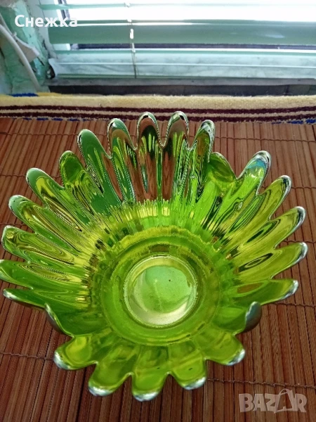 красива фруктиера , снимка 1