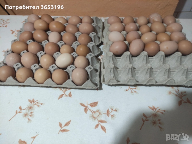 Домашни яйца , снимка 1