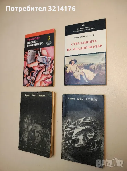 Страданията на младия Вертер - Йохан Волфганг Гьоте, снимка 1