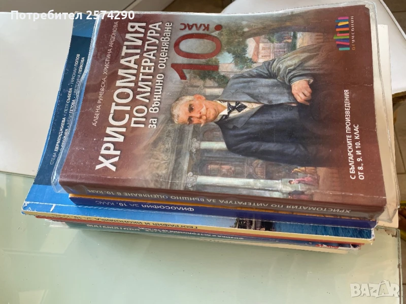 Лот учебници за 10 клас, снимка 1