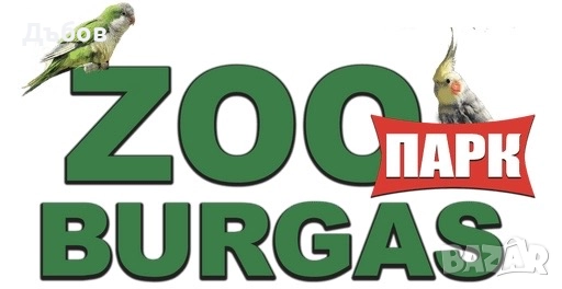 Работници в зоопарк Бургас -осиг. квартира, снимка 1