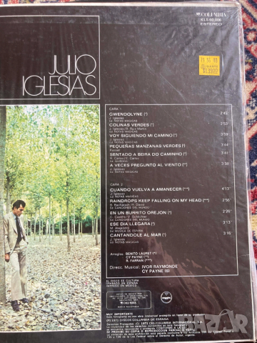 грамофони плочи 7-броя, снимка 8 - Грамофонни плочи - 53922250