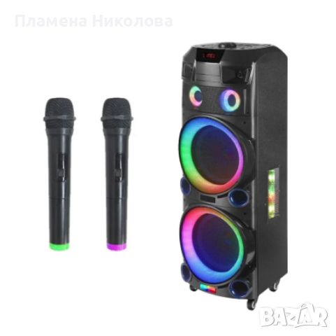 Професионалнa светеща караоке тонколонa 2x12 инча WGY-1222, снимка 1