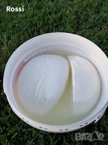 ЗРЯЛО КОЗЕ СИРЕНЕ;птиче месо/ домашно, снимка 3 - Домашни продукти - 46237896