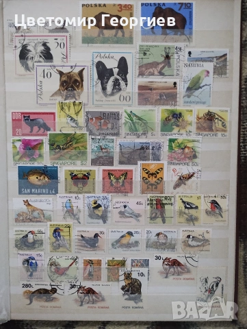 Класьор с марки /животни/ 650 бр ., снимка 10 - Филателия - 53078099
