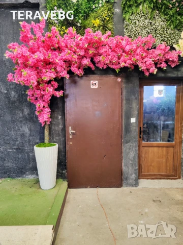 Декоративни дървета , снимка 4 - Изкуствени цветя - 50801494