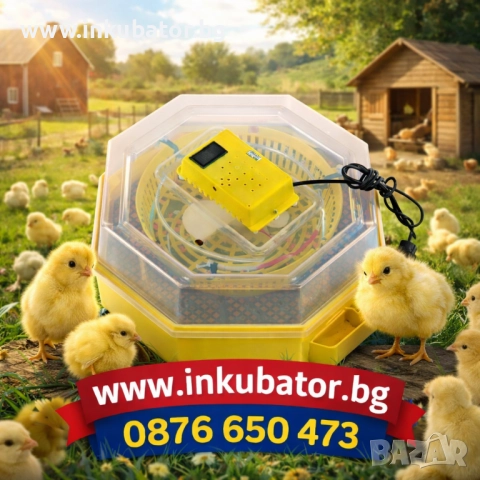 ИНКУБАТОРИ - www.inkubator.bg