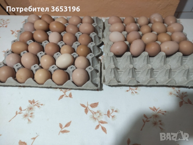 Домашни яйца 