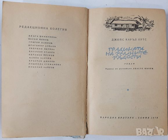 Градината на земните радости, Джойс Каръл Оутс(10.5), снимка 2 - Художествена литература - 45685551