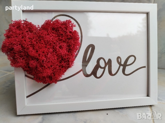 Картини със скандинавски мъх оригинален подарък , снимка 7 - Картини - 51985934