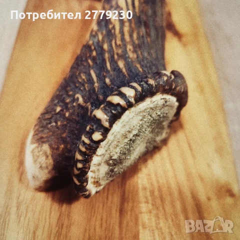 Ловен много масивен нож от колекция , снимка 11 - Колекции - 50754843