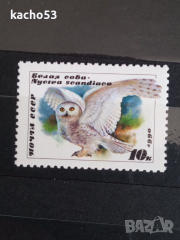 1990 г. Хищни птици- Сови. СССР, снимка 2 - Филателия - 45429475