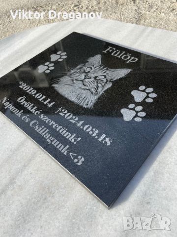Персонализирана надгробна плоча за домашни любимци със снимка, снимка 9 - За кучета - 44884125