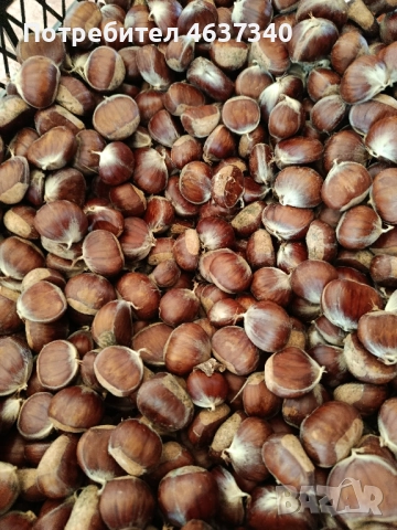 Сладки кестени от село, снимка 1