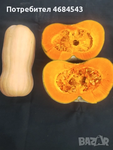Тикви, снимка 2 - Домашни продукти - 53025349