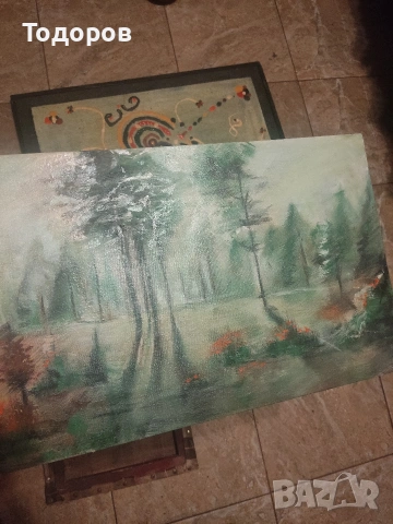 Стари картини масло на платно, снимка 4 - Картини - 53314319