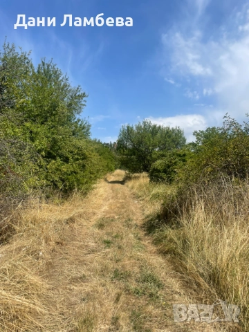 Продава се УПИ в с. Долни Романци, обл. Перник, снимка 4 - Парцели - 51576066