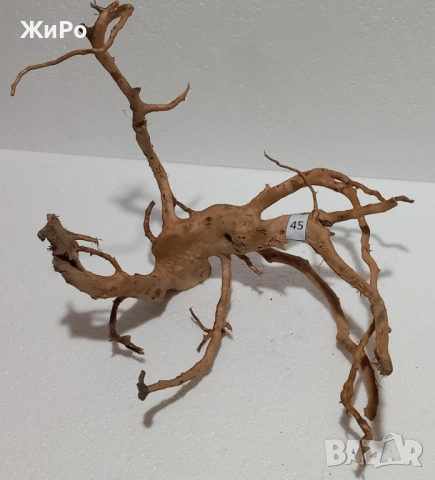 Корен от Азалия /декорация/ 45, снимка 2 - Други - 49874721