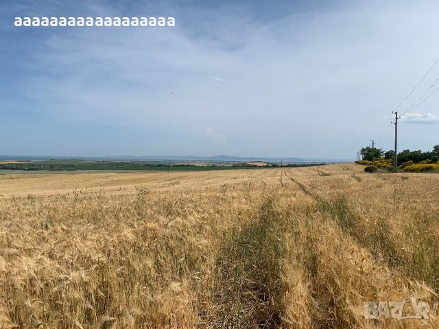 Продавам Панорамна земя до град Каблешково, снимка 11 - Земеделска земя - 44431160