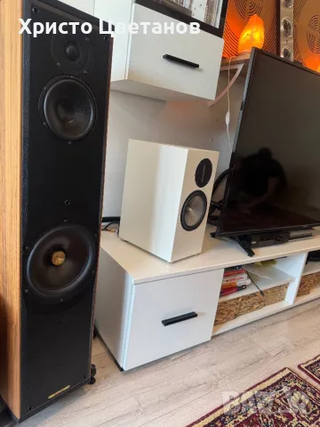 Esthetic Audio RAAL bookshelf speakers, снимка 10 - Тонколони - 50133851