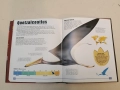 The Ultimate Book of Dinosaurs: Everything You Always Wanted to Know About Dinosaurs, снимка 4