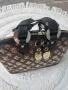 Дамска чанта Lui Vuitton, снимка 8