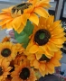 Големи слънчогледи с 3цвята, снимка 2