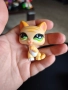 Littlest pet shop, 12 бр.фигури, снимка 4