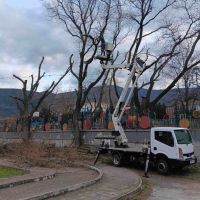 Рязане и Кастрене на Опасни Дървета - Вишка Пловдив - Достъпни Цени, снимка 5 - Други почистващи услуги - 45781229