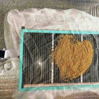 Сушилня за пчелен прашец, гъби, плодове, билки и др бюджетна АРНО , снимка 4 - За пчели - 45430472